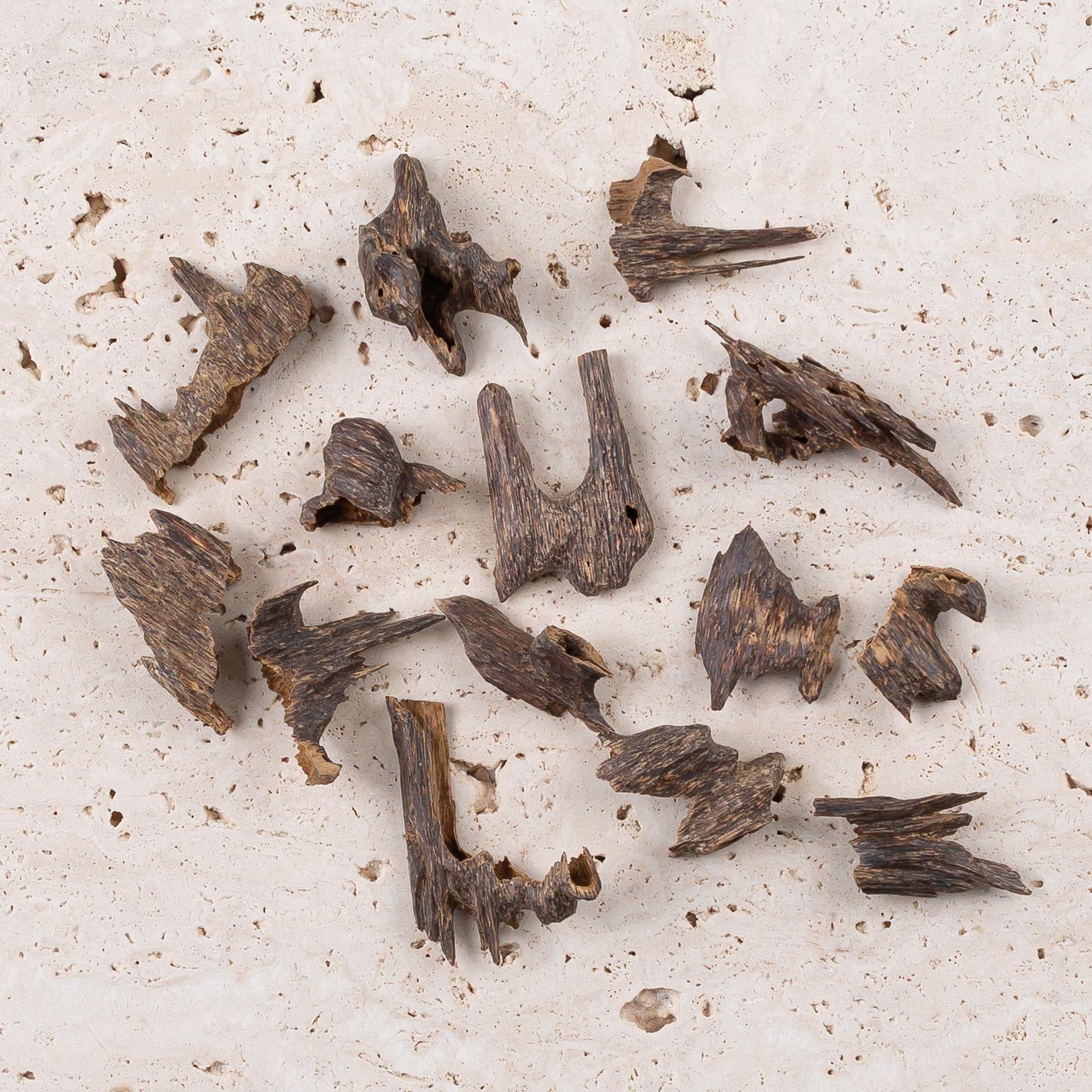 ڤيزا موري هندي عُمق