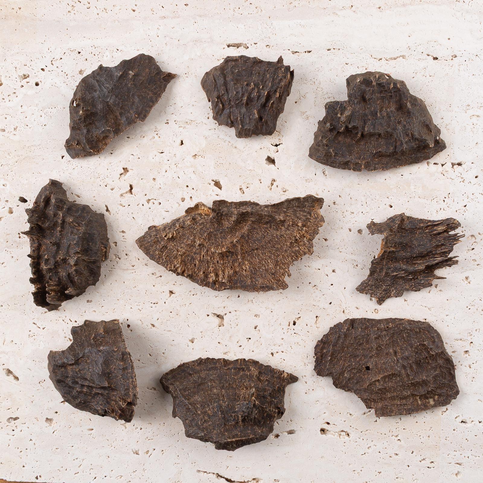 چار هندي اندر ووتر  عُمق