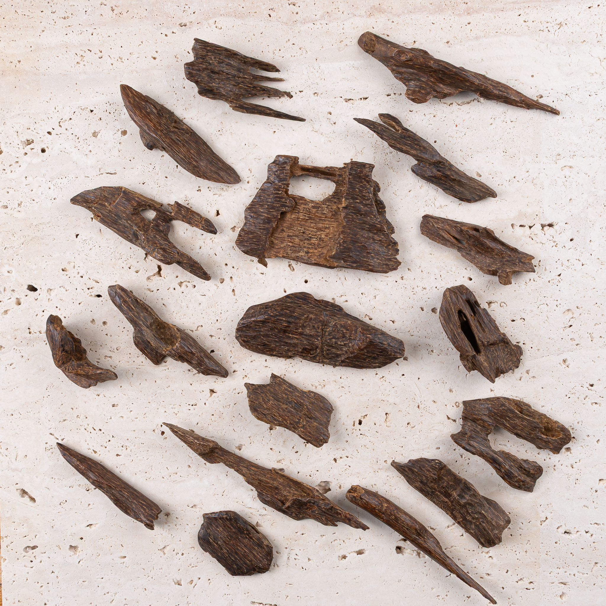 ارياني سلطاني عُمق